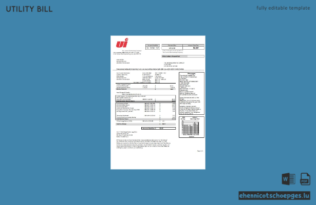 USA Connecticut Beispiel einer Stromrechnung der United Illuminating Company (Vorschau)